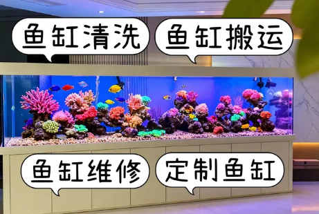 深圳市弘源水族工程有限公·清洗鱼缸、鱼缸维护、鱼缸清洗、鱼缸维修、鱼缸搬运、鱼缸养护。鱼缸