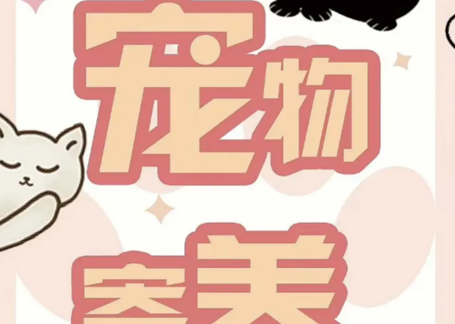 爱尚宠物服务中心·宠物上门喂养 猫狗寄养 宠托师上门遛狗 喂猫喂狗 拍视频反馈